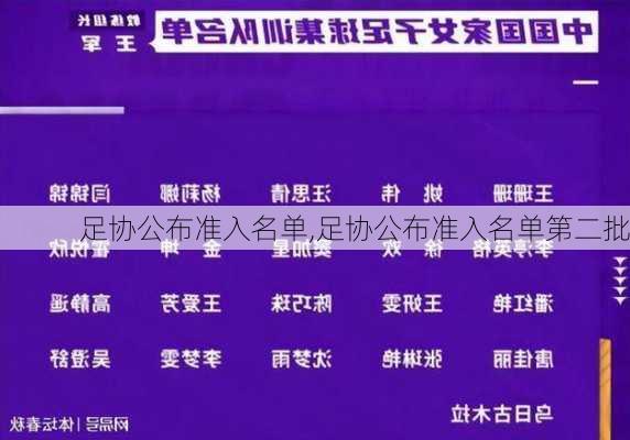 足协公布准入名单,足协公布准入名单第二批