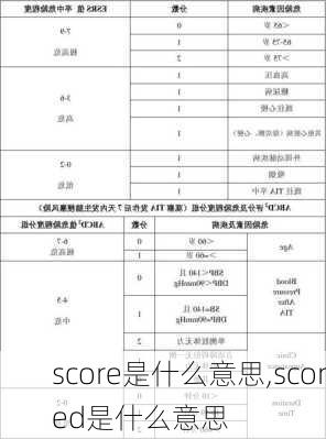 score是什么意思,scored是什么意思