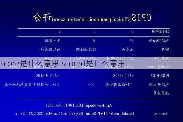 score是什么意思,scored是什么意思