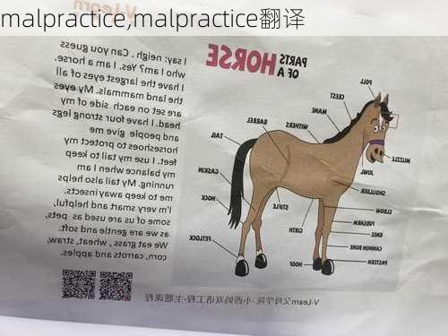 malpractice,malpractice翻译