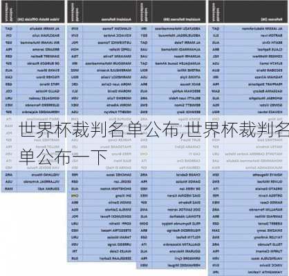 世界杯裁判名单公布,世界杯裁判名单公布一下