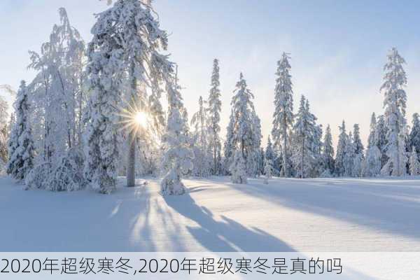 2020年超级寒冬,2020年超级寒冬是真的吗