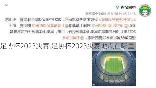 足协杯2023决赛,足协杯2023决赛地点在哪里