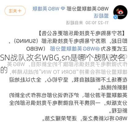 SN战队改名WBG,sn是哪个战队改名的