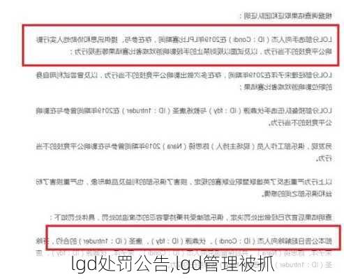 lgd处罚公告,lgd管理被抓