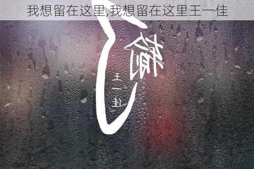 我想留在这里,我想留在这里王一佳