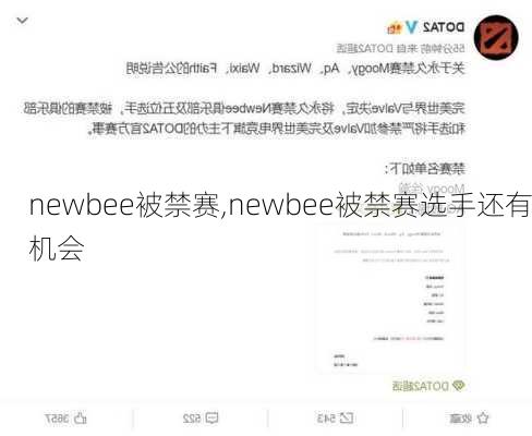 newbee被禁赛,newbee被禁赛选手还有机会